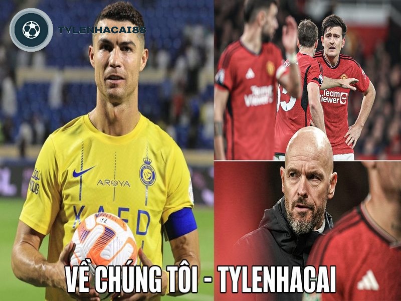 Sơ lược về chúng tôi Tylenhacai