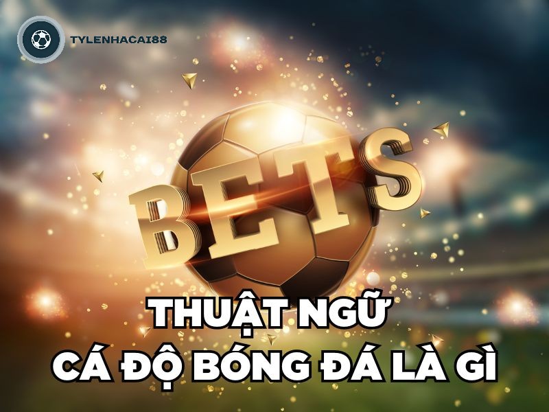 Thuật ngữ cá độ bóng đá là gì