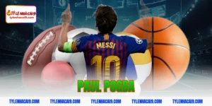 Paul Pogba: Tiền vệ trung tâm tài hoa nhưng quá lận đận 19 paul pogba