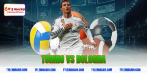Chuyên gia soi kèo phân tích kết quả trận Torino vs Bologna 8 torino vs bologna