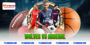 Nhận định đánh giá và soi kèo tỷ số trận Wolves vs Arsenal 6 wolves vs arsenal